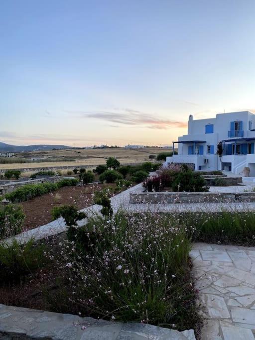 Pergola Paros Cycladic House By The Sea+pool * Náousa