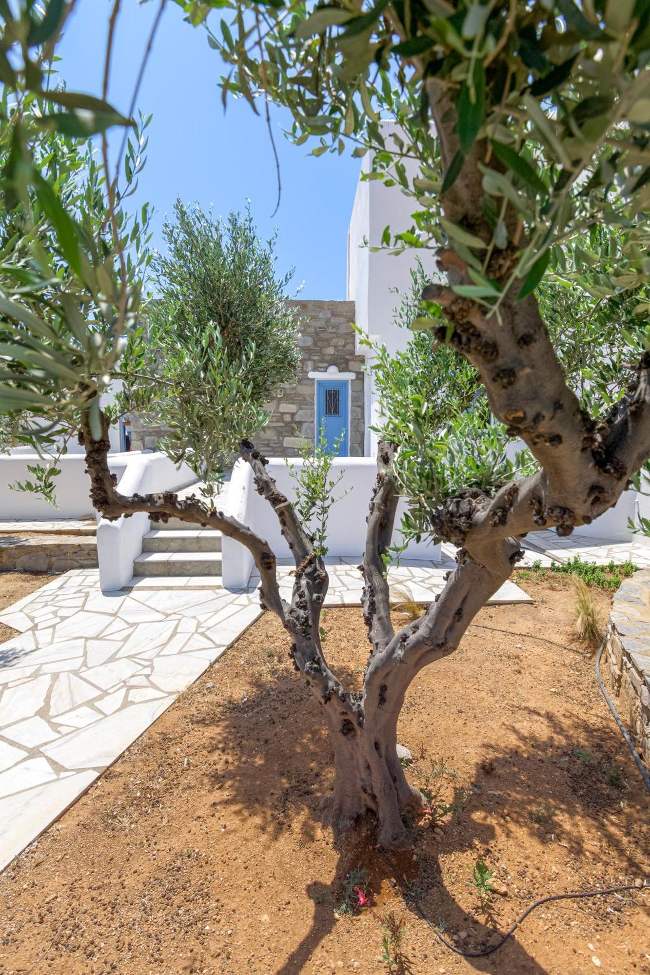 Pergola Paros Cycladic House By The Sea+pool *